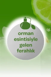 Dalin Kolonya Orman Esintisi 150 ml thumbnail 4