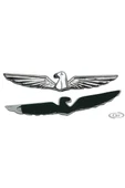 Araba Sticker Krom Kuş Model 2'li thumbnail 2