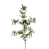 T.Concept Dekoratif Yapay Bambu Dal 160 cm 1 Adet thumbnail 2