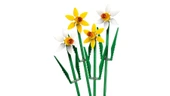 LEGO-40747 Botanicals Nergis thumbnail 2