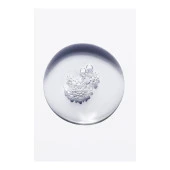 Chronologist Bain Régénérant 250ml thumbnail 5