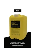 Blackline Saç Şampuanı 5 Lt. thumbnail 1