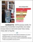 Paristore Parfüm Unısex-N2 thumbnail 2
