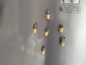 Ev Dekorasyon Buz Dolabı Magnet Succulet 3 Adet thumbnail 4