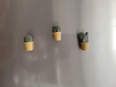 Ev Dekorasyon Buz Dolabı Magnet Succulet 3 Adet thumbnail 1
