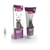 ENERGY YETİŞKİN KEDİ  MULTI PASTE 100GR 1+ YAŞ thumbnail 1