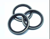 Piston Keçesi Ptfe / Nbr K17 - 34.5x50x6.3 thumbnail 6