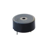 Powermaster IC-220 Buzzer 12 - 24 Volt Dc 23 Mm Devreli thumbnail 1