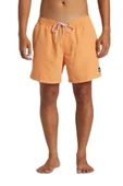 Quiksilver Everyday 15 Erkek Volley Turuncu Şort thumbnail 6