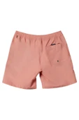 Quiksilver Everyday 15 Erkek Samon Volley  Şort thumbnail 2