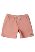 Quiksilver Everyday 15 Erkek Samon Volley  Şort thumbnail 1
