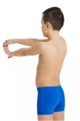 Arena Boy's Team Swım Short Solıd Çocuk Şort Mayo 004777720 thumbnail 2
