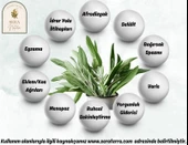Adaçayı Uçucu Yağı 10 ml. %100 Saf thumbnail 5