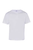 FESTİVAL BİSİKLET YAKA T-SHIRT thumbnail 3