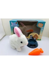 Evcil Hayvan Tavşan Seti Pet Park thumbnail 1