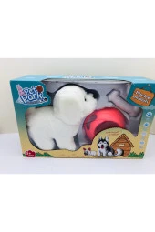 Evcil Hayvan Köpek Seti Pet Park thumbnail 4