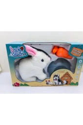 Evcil Hayvan Tavşan Seti Pet Park thumbnail 2