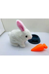 Evcil Hayvan Tavşan Seti Pet Park thumbnail 3