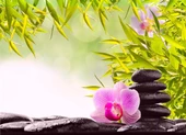 Lila Çiçek, Spa Taşı - Kanvas Tablo thumbnail 1
