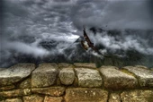 Atmaca - Kanvas Tablo thumbnail 1