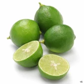 3 Yaş Aşılı Meksika Lime Limonu, Torbada thumbnail 2