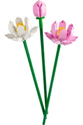 Lotus Çiçekleri 40647 thumbnail 3