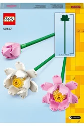 Lotus Çiçekleri 40647 thumbnail 4