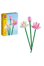 Lotus Çiçekleri 40647 thumbnail 7