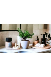 Bonsai Ağacı Afra Para Bitkisi thumbnail 1