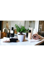 Bonsai Ağacı Afra Para Bitkisi thumbnail 2