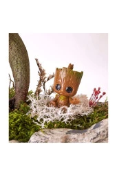 Taş Saksıda Ficus Bonsai Ve Groot thumbnail 2