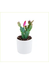Yılbaşı Çiçeği Dekoratif Saksıda Schlumbergera 010101 thumbnail 1