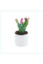Yılbaşı Çiçeği Dekoratif Saksıda Schlumbergera 010101 thumbnail 2