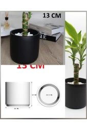 Siyah Taş Beton Saksı thumbnail 1