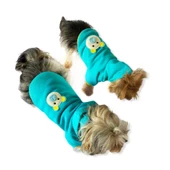 Blue Bear Kapşonlu Köpek  Sweat by Kemique thumbnail 6