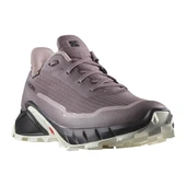 Salomon Alphacross 5 Gtx Women thumbnail 1
