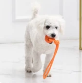 Köpek Renkli Elastik Toplu Diş İpi Oyuncağı 5 cm thumbnail 6
