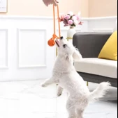 Köpek Renkli Elastik Toplu Diş İpi Oyuncağı 5 cm thumbnail 5