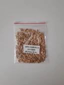 Eyüp Ensar KABUKLU ARPA 10 GR thumbnail 1