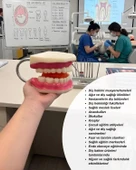 Temel Diş Fırçalama ve Bakım Modeli thumbnail 6
