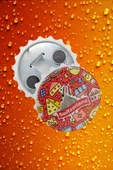 İsviçre Temalı Magnet Kapak Açacak thumbnail 5