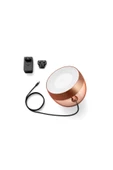 Philips   Hue Iris - Copper (Special Edition) thumbnail 2
