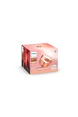 Philips   Hue Iris - Copper (Special Edition) thumbnail 3