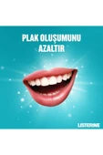 Cool Mint Ağız Bakım Suyu 500+250 ml thumbnail 6