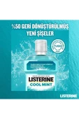 Cool Mint Ağız Bakım Suyu 500+250 ml thumbnail 7