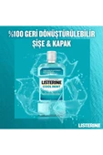 Cool Mint Ağız Bakım Suyu 500+250 ml thumbnail 8