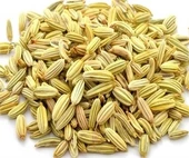 Rezene (Foeniculum vulgare) 500 gr, Derya Eren thumbnail 2