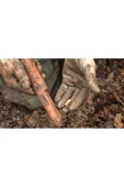 Garrett Pro Pointer At thumbnail 2