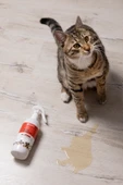 Kedi Leke Temizleyici Sprey thumbnail 6