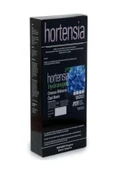 Hortensia Ortanca Besini thumbnail 2